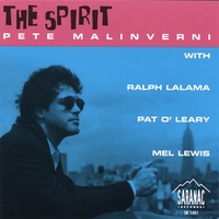 PETE MALINVERNI - The Spirit cover 