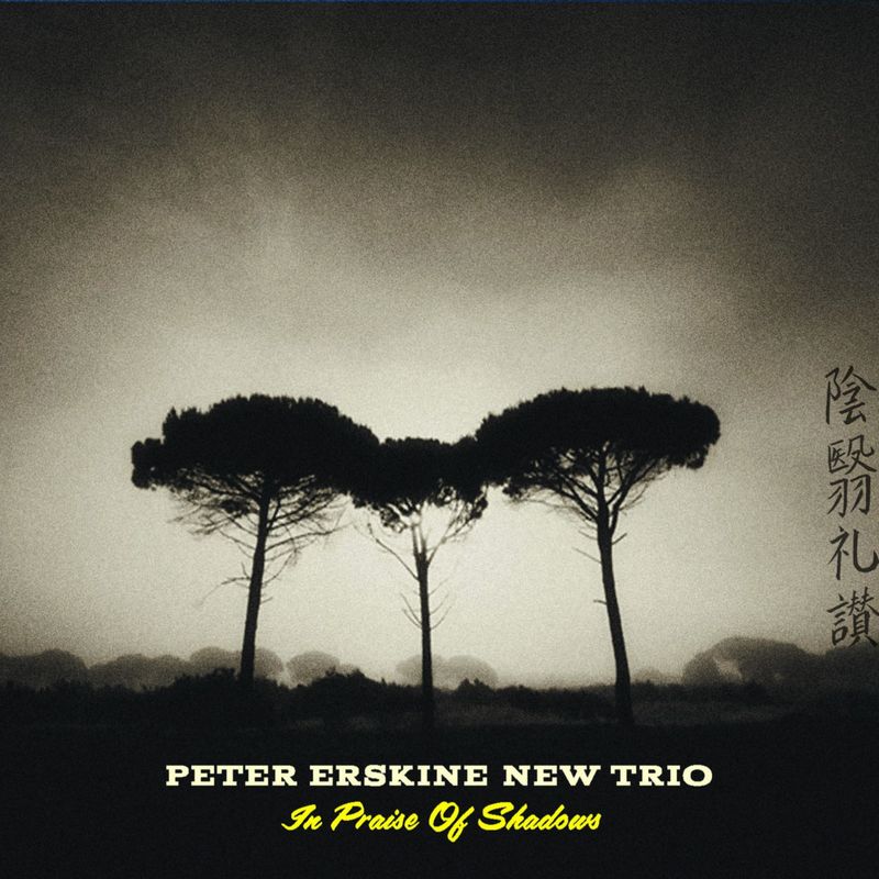 PETER ERSKINE - In Praise Of Shadows cover 