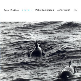 PETER ERSKINE - Juni cover 