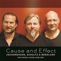 PETER JOHANNESSON - Johannesson, Schultz & Berglund : Cause and Effect cover 