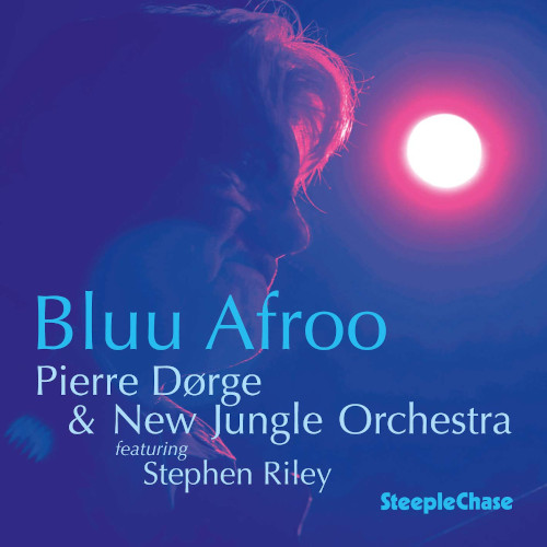PIERRE DØRGE - Bluu Afroo cover 