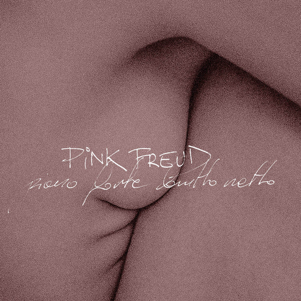 PINK FREUD - Piano Forte Brutto Netto cover 