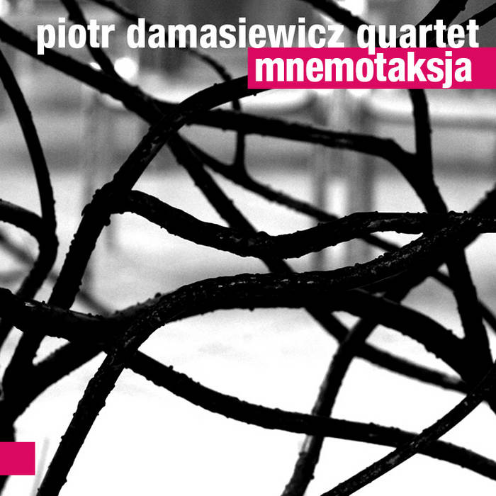 PIOTR DAMASIEWICZ - Mnemotaksja cover 