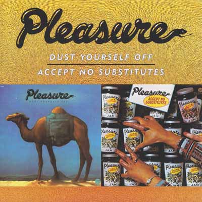 PLEASURE - Dust Yourself Off/Accept No Substitutes cover 