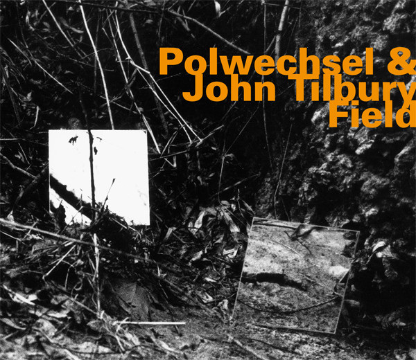 POLWECHSEL - Polwechsel & John Tilbury ‎: Field cover 