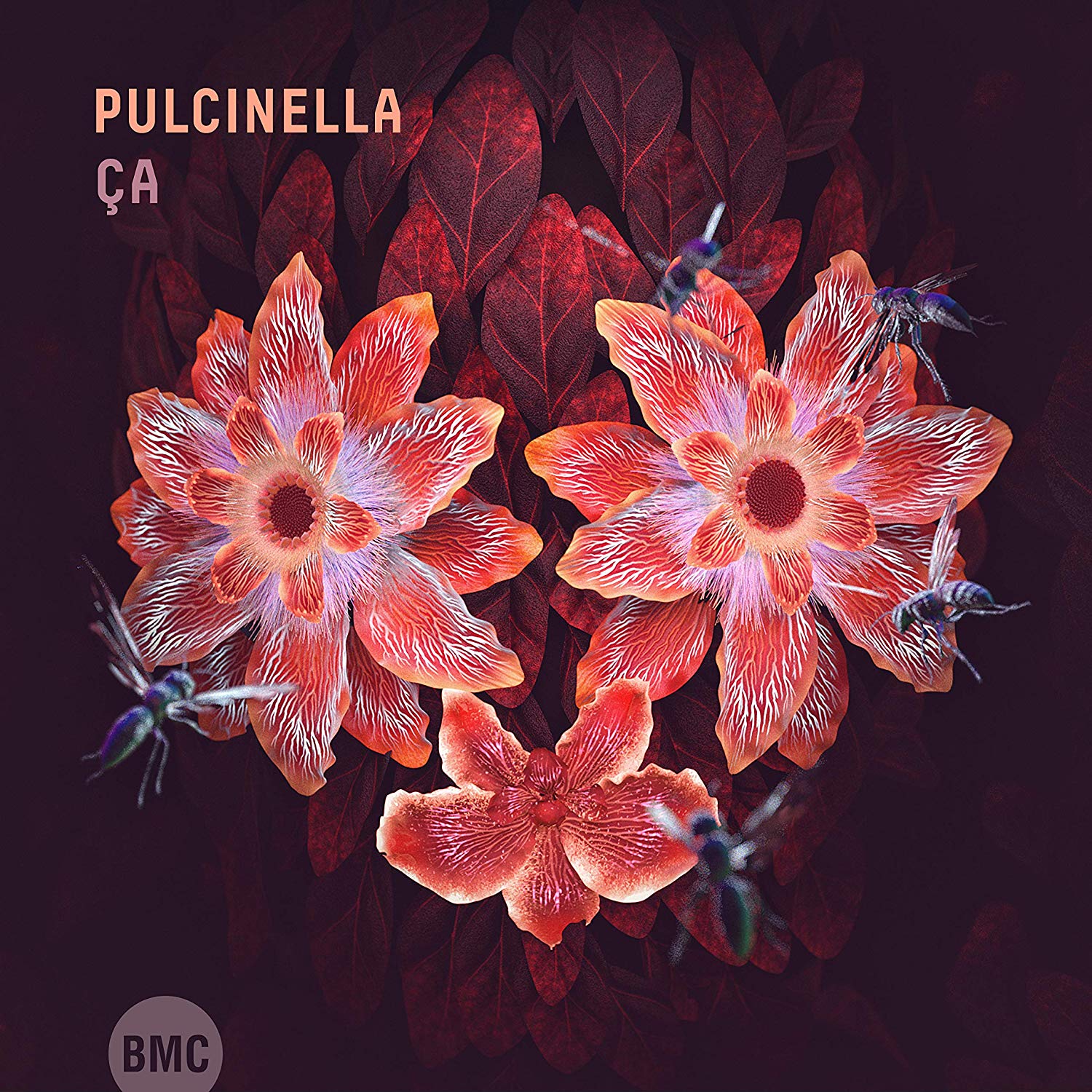 PULCINELLA - Ça cover 