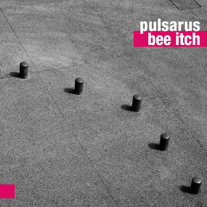 PULSARUS - Bee Itch cover 