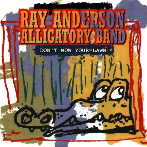 RAY ANDERSON - Don't Mow Your Lawn cover 