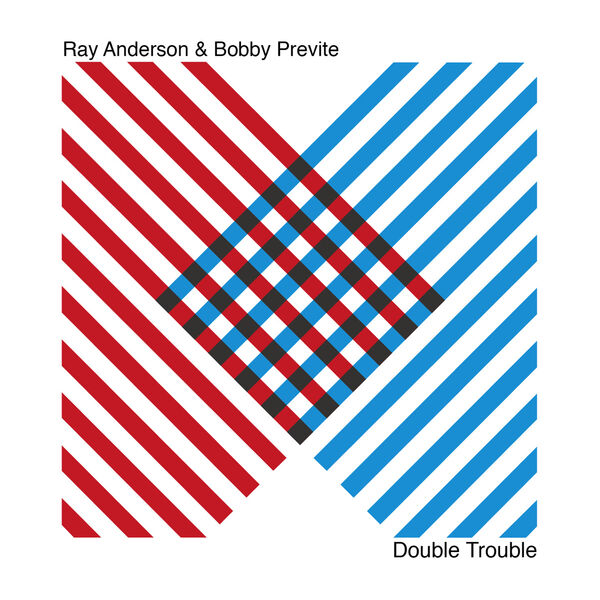 RAY ANDERSON - Ray Anderson &Bobby Previte : Double Trouble cover 
