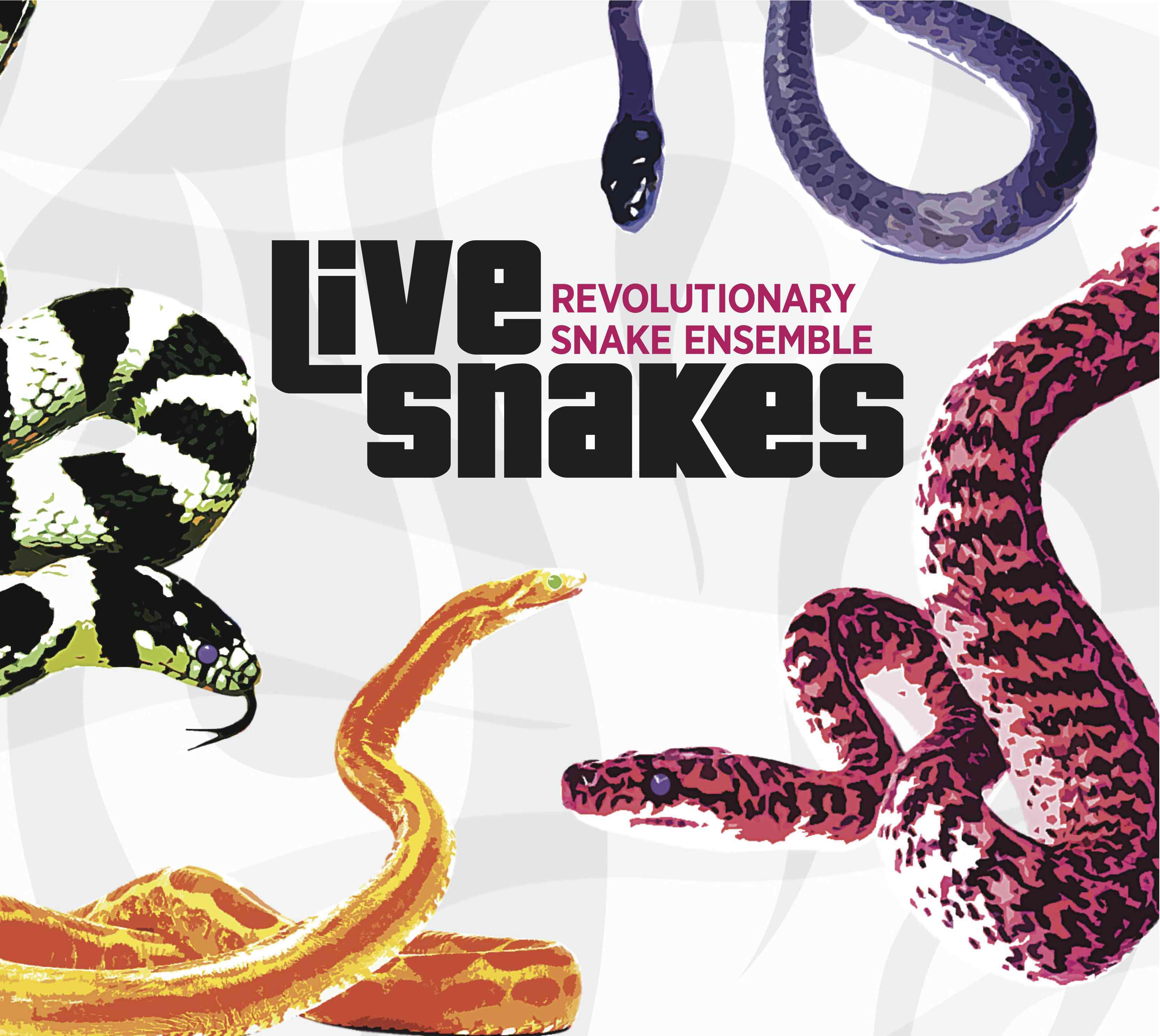 REVOLUTIONARY SNAKE ENSEMBLE - Live Snakes cover 