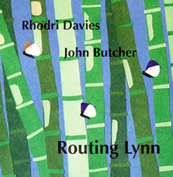 RHODRI DAVIES - Rhodri Davies / John Butcher : Routing Lynn cover 