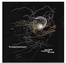 RHODRI DAVIES - Wunderkammern (with Lee Patterson / David Toop) cover 