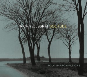 RICH PELLEGRIN - Solitude : Solo Improvisations cover 
