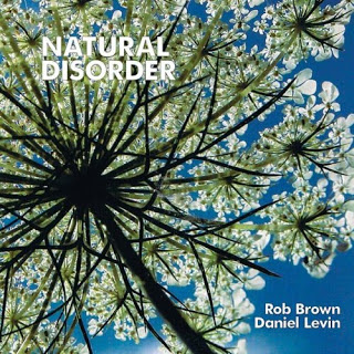 ROB BROWN - Rob Brown / Daniel Levin : Natural Disorder cover 