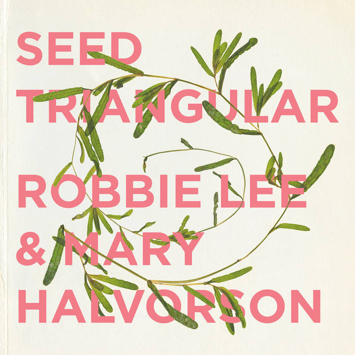 ROBBIE LEE - Robbie Lee and Mary Halvorson : Seed Triangular cover 