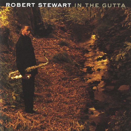 ROBERT STEWART - In the Gutta cover 