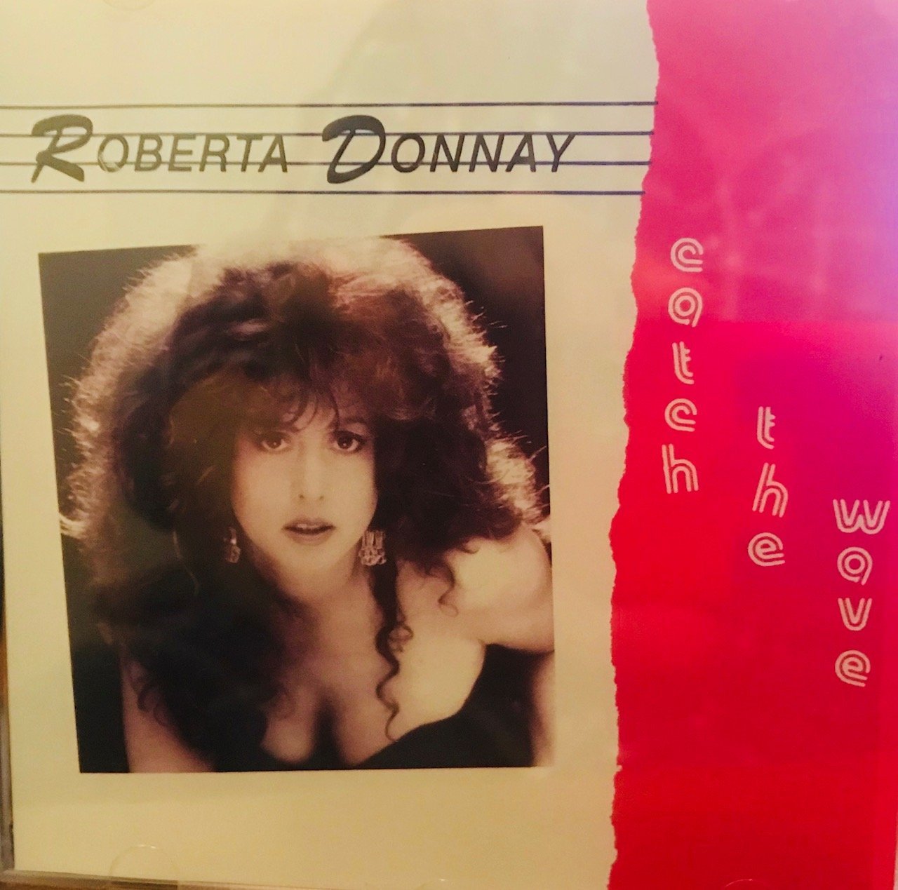 ROBERTA DONNAY - Catch the Wave cover 
