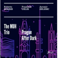 ROBERTO MAGRIS - The MUH Trio : Prague After Dark cover 