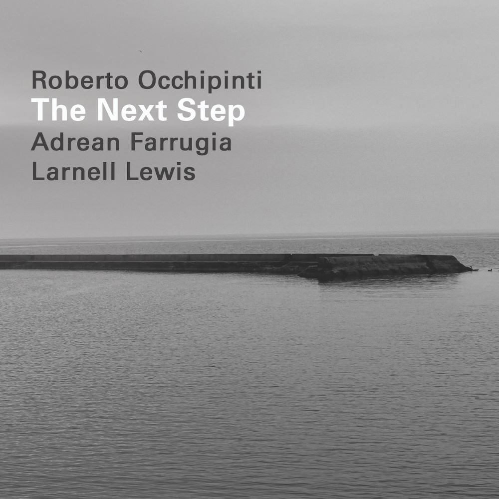 ROBERTO OCCHIPINTI - The Next Step cover 