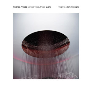 RODRIGO AMADO - Rodrigo Amado Motion Trio & Peter Evans : The Freedom Principle” cover 