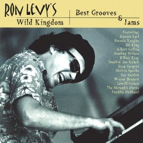 RON LEVY - Best Grooves & Jams cover 