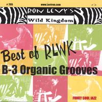 RON LEVY - Best of RLWK :B-3 Organic Grooves cover 