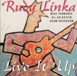 RUDY LINKA - Live It Up cover 