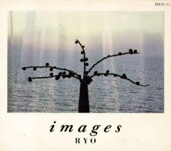 RYO KAWASAKI - Images cover 