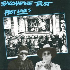 SACCHARINE TRUST - Past Lives cover 