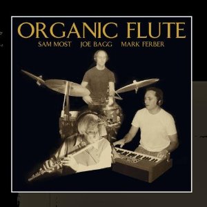 SAM MOST - Organic Flute cover 