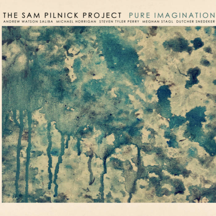 SAM PILNICK - Pure Imagination cover 