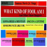 SAMMY DAVIS JR - What Kind of Fool Am I: And Other Show-Stoppers cover 