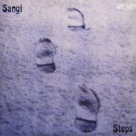 SANGI - Steps cover 