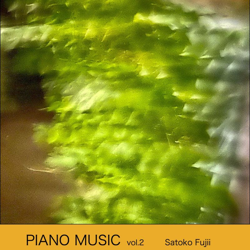 SATOKO FUJII - Piano Music Vol. 2 cover 