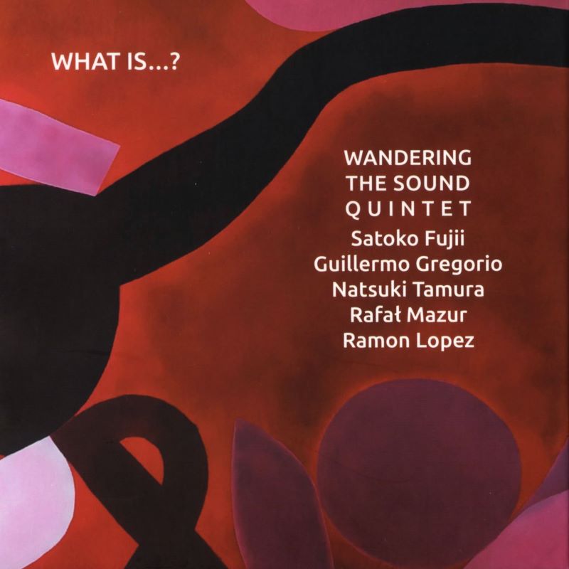 SATOKO FUJII - Wandering The Sound Quintet : What Is...? cover 