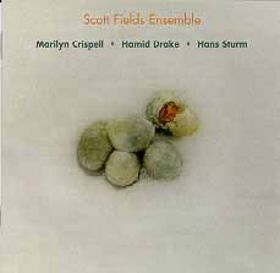 SCOTT FIELDS - Scott Fields Ensemble : Five Frozen Eggs cover 