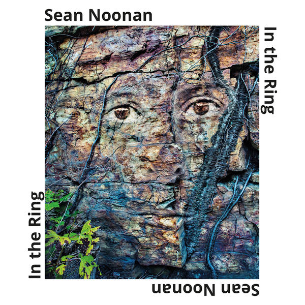 SEAN NOONAN - In The Ring cover 