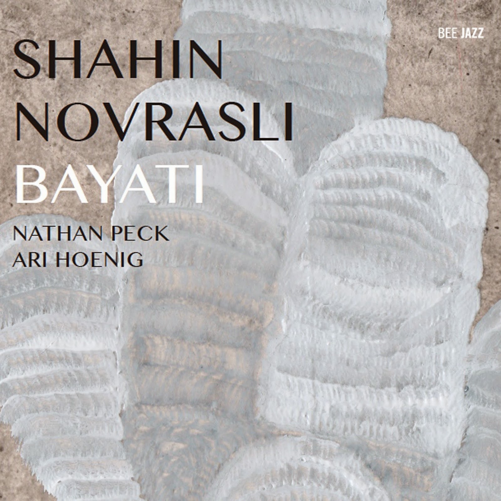 SHAHIN NOVRASLI - Bayati cover 
