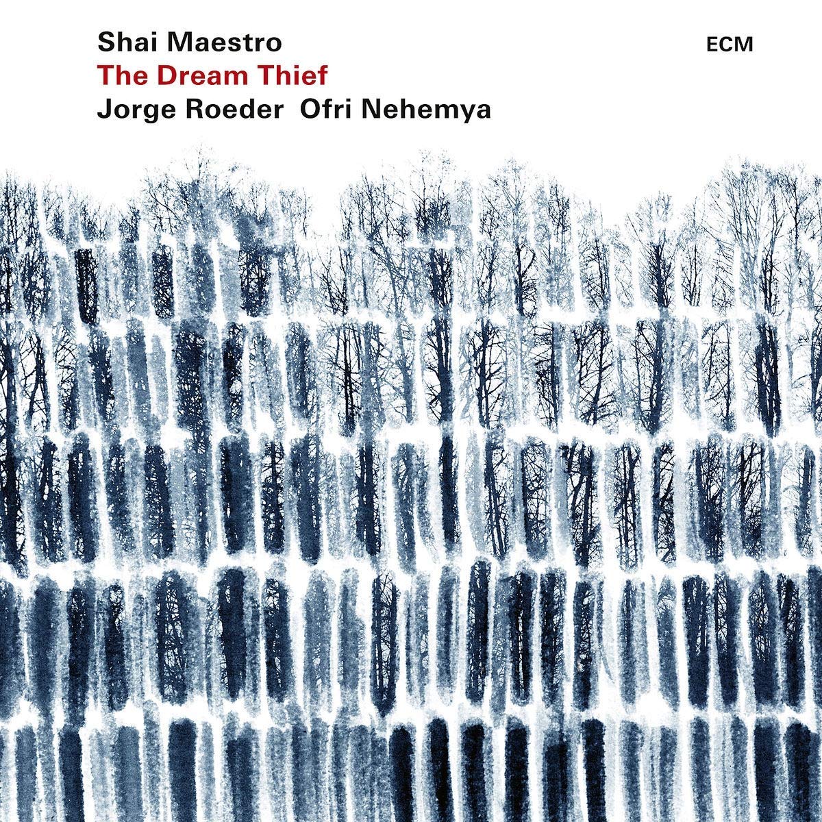 SHAI MAESTRO - The Dream Thief cover 