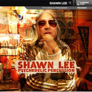 SHAWN LEE - Psychedelic Percussion cover 