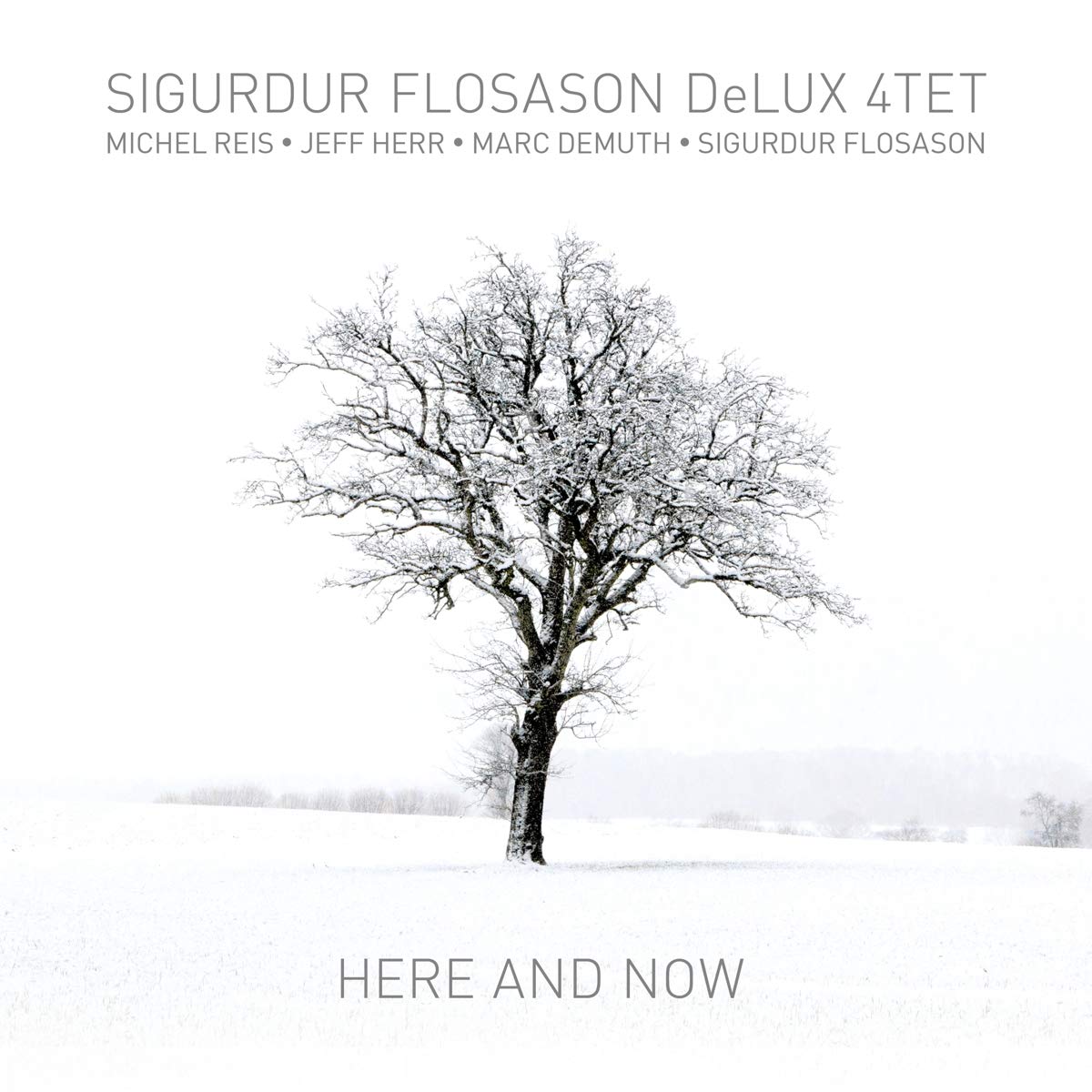 SIGURÐUR FLOSASON - Sigurdur Flosason DeLux 4Tet : Here & Now cover 