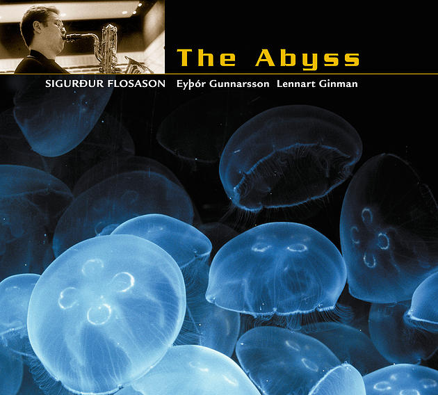 SIGURÐUR FLOSASON - Djúpið / The Abyss cover 