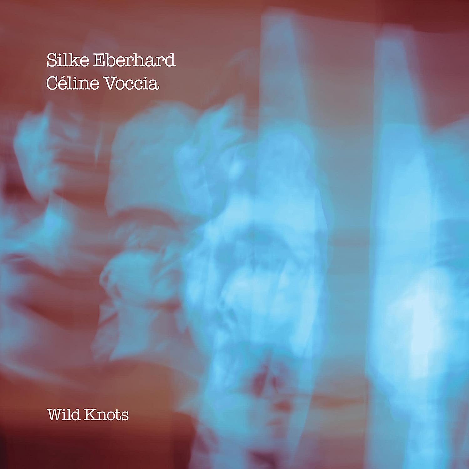 SILKE EBERHARD - Silke Eberhard, Céline Voccia : Wild Knots cover 