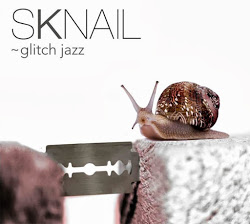 SKNAIL - Glitch Jazz cover 