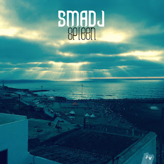 SMADJ - Spleen cover 