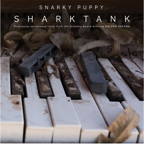 SNARKY PUPPY - Shark Tank cover 
