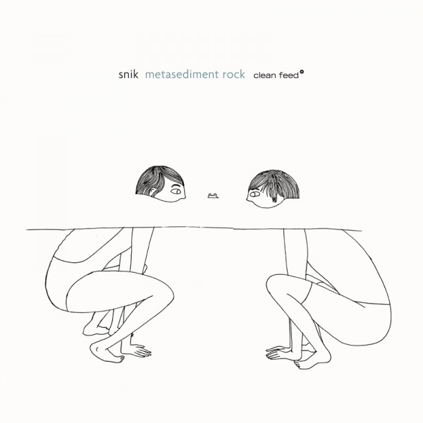 SNIK - Metasediment Rock cover 