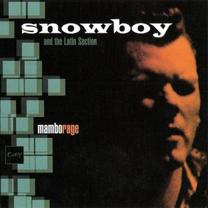 SNOWBOY - Mambo Rage cover 