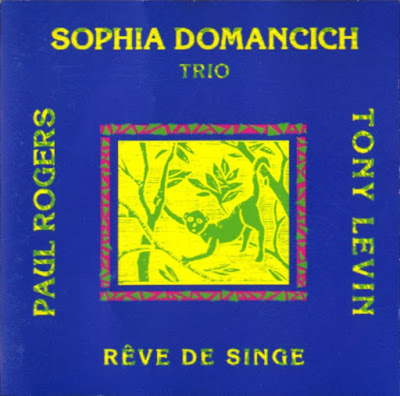 SOPHIA DOMANCICH - Rêve de singe cover 