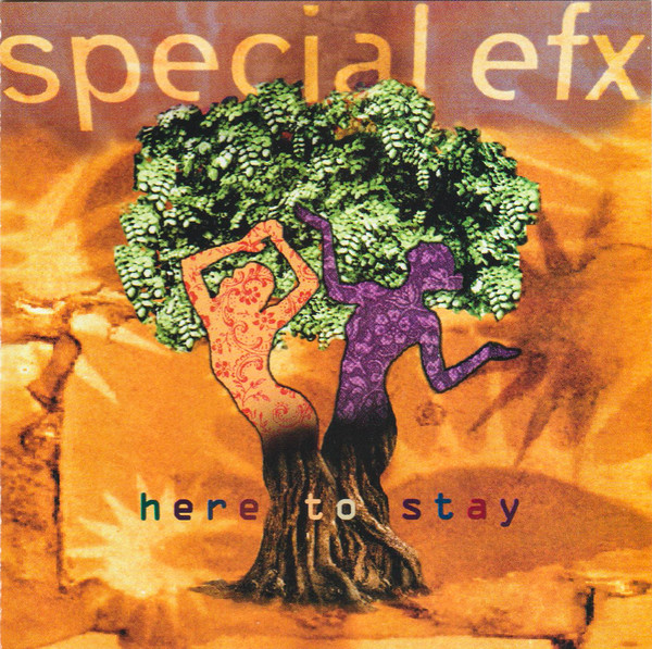 SPECIAL EFX - Here To Stay cover 